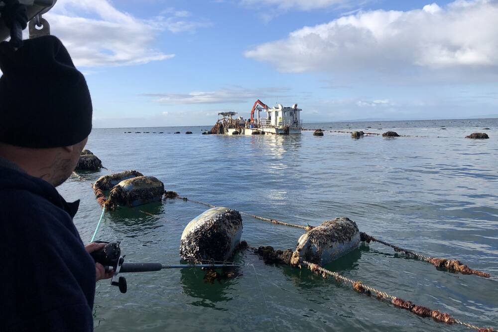 Photo of Others in Te Mata