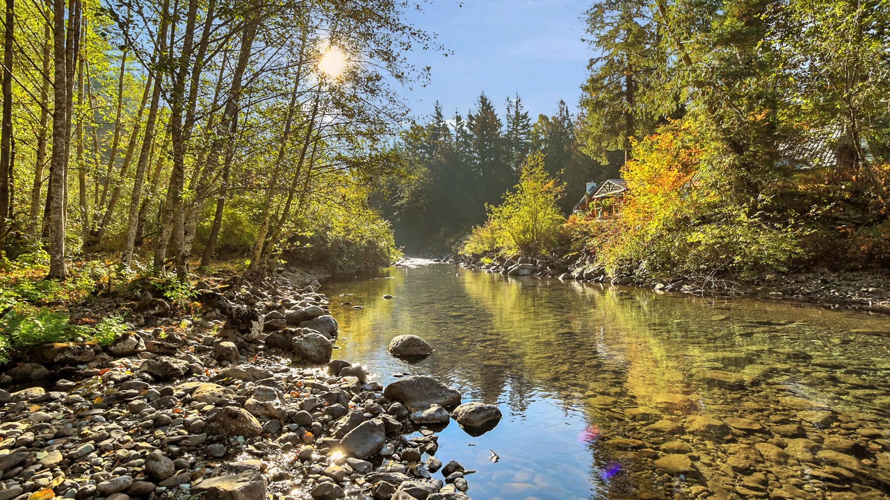 Photo of Outdoor in North Bend