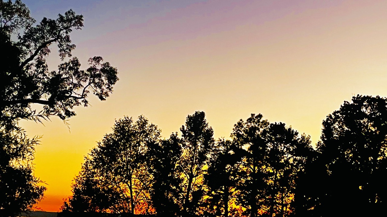 Photo of Others in Fort Gaines