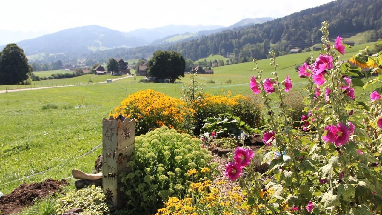Photo of Outdoor in Wattwil