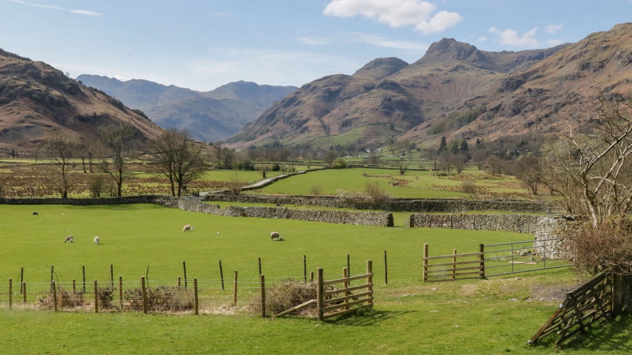 Photo of Others in Chapel Stile