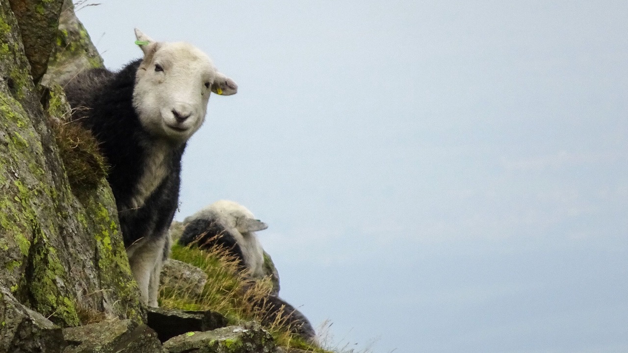 Photo of Outdoor in Chapel Stile