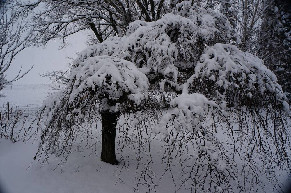 Photo of Outdoor in La Pocatiere