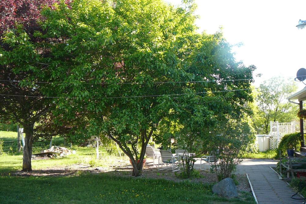 Photo of Outdoor in La Pocatiere