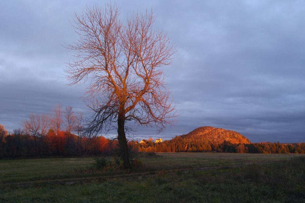 Photo of Outdoor in La Pocatiere