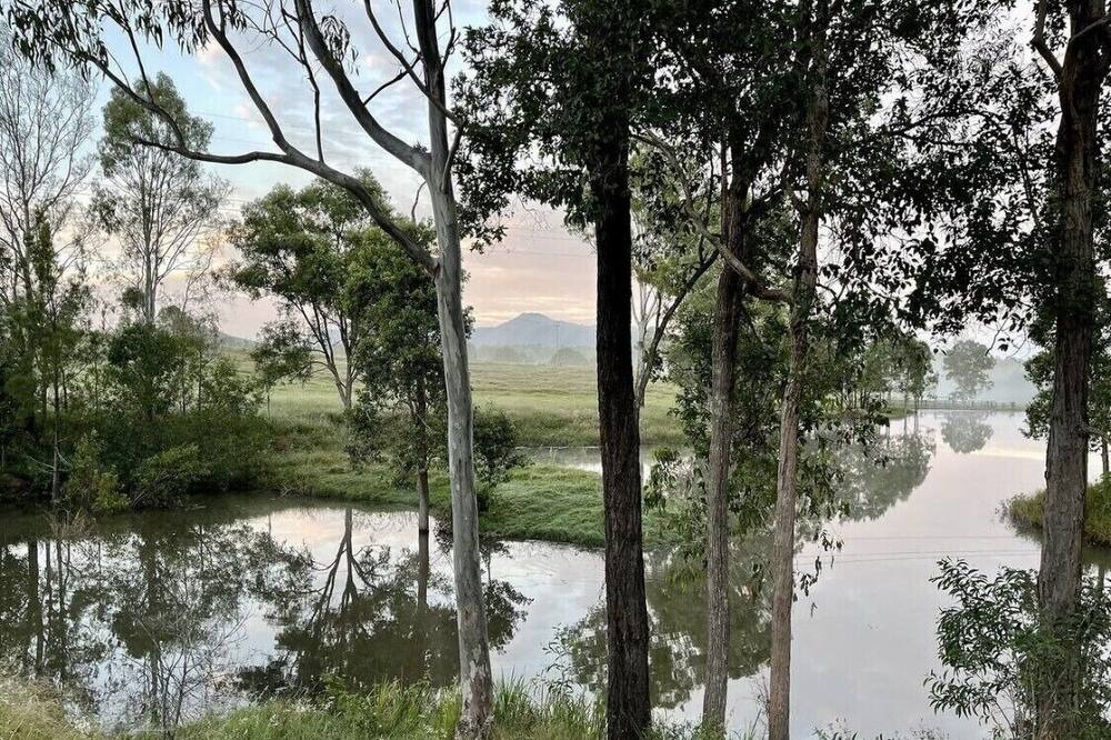 Photo of Others in Glastonbury
