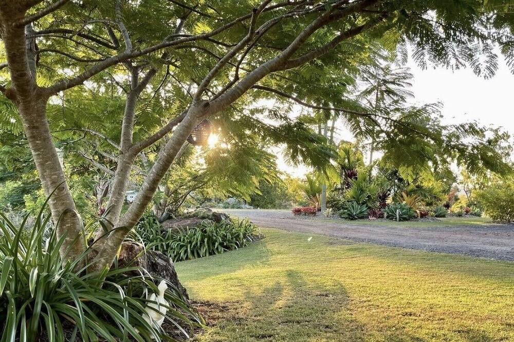 Photo of Others in Glastonbury