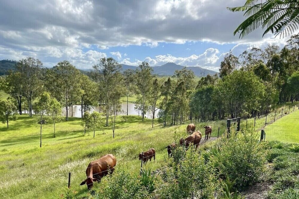 Photo of Others in Glastonbury