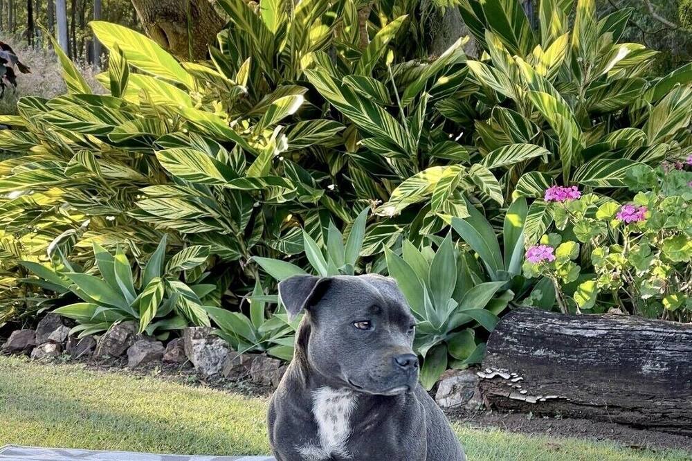 Photo of Others in Glastonbury