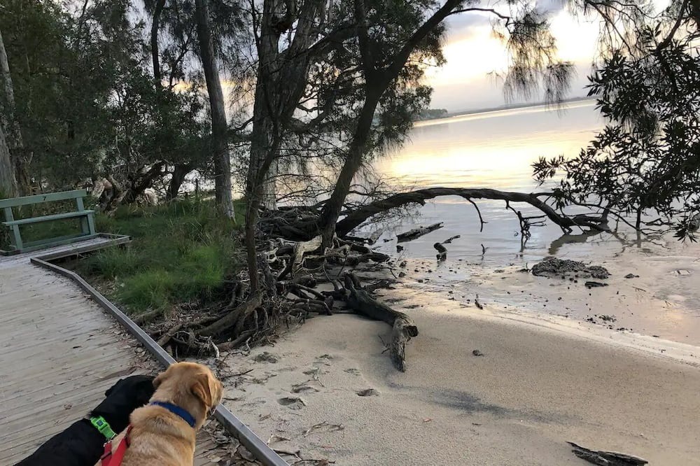 Photo of Others in Tanilba Bay