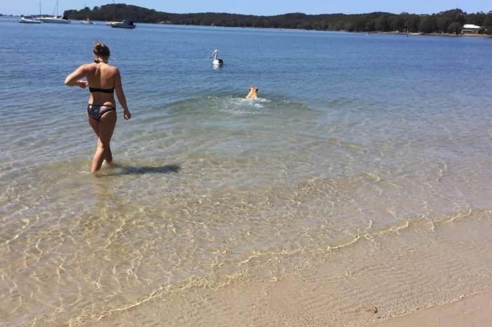 Photo of Others in Tanilba Bay