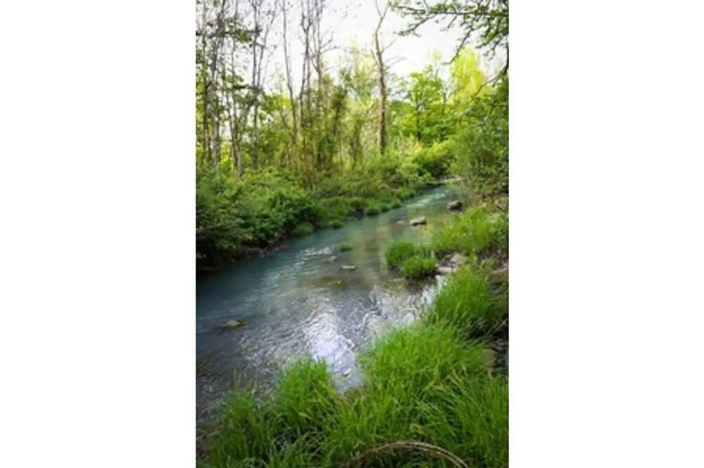 Photo of Outdoor in Alix