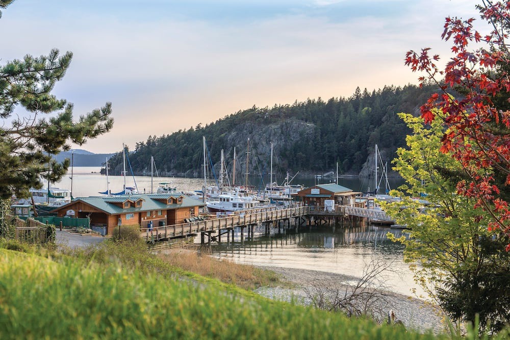 Photo of Others in Deer Harbor