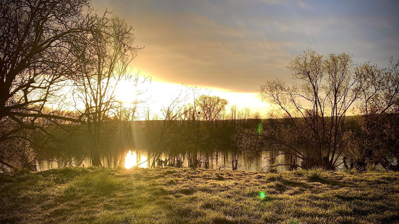 Photo of Others in Carrieres-sous-Poissy