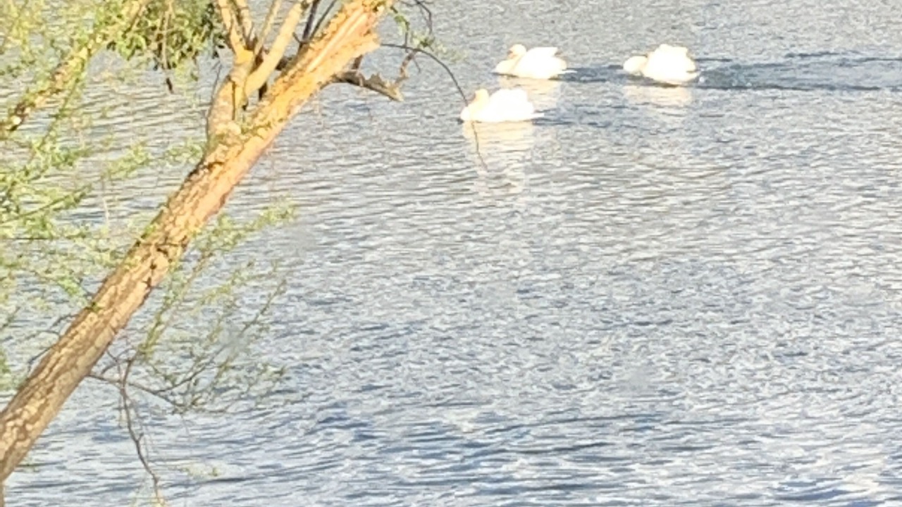 Photo of Outdoor in Carrieres-sous-Poissy