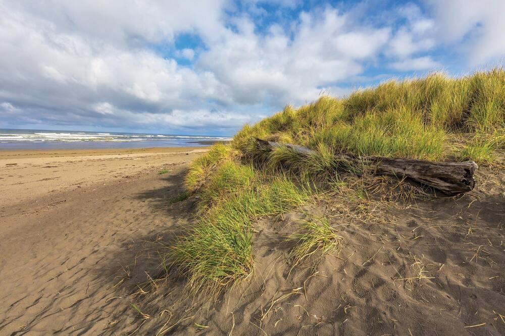 Photo of Outdoor in Ocean Shores