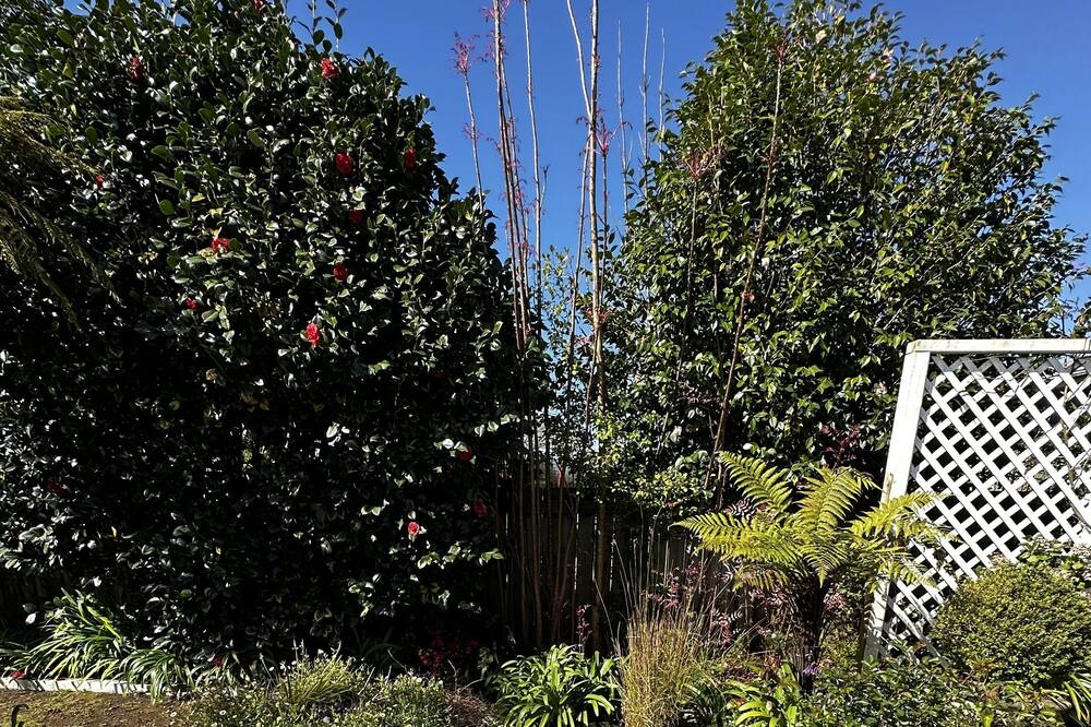 Photo of Outdoor in Ngongotaha