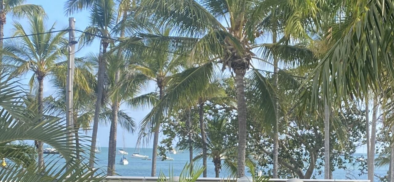 Photo of Others in Horseshoe Bay