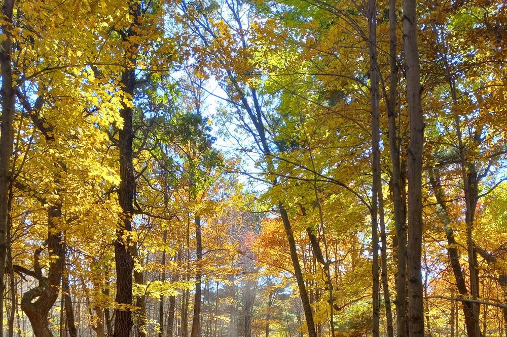 Photo of Outdoor in Rock Falls