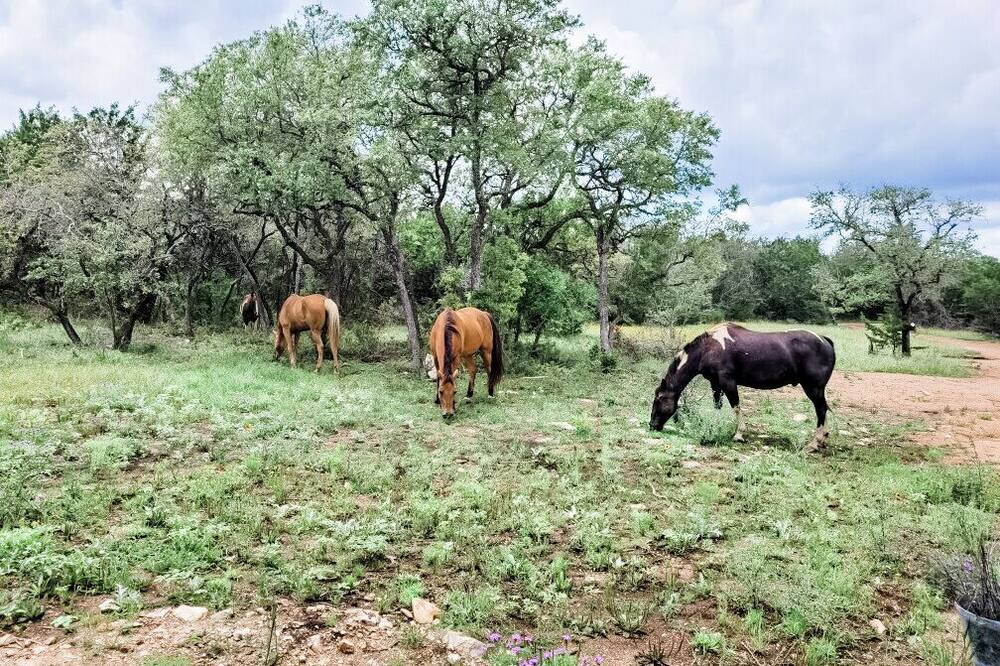 Photo of Others in Marble Falls