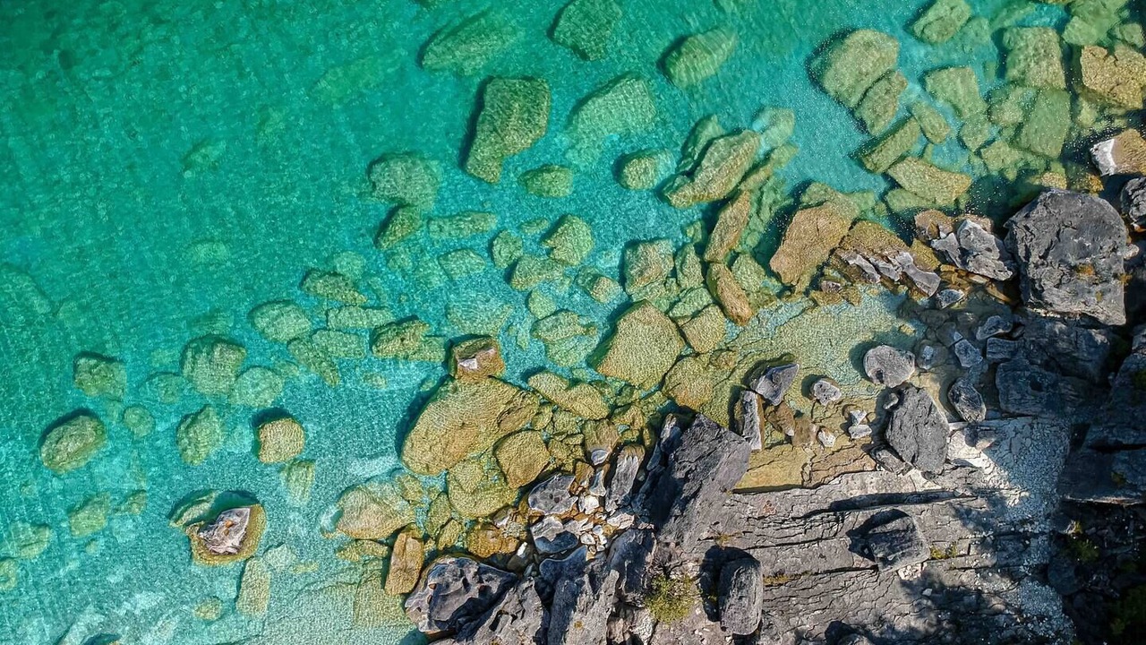 Photo of Others in Northern Bruce Peninsula