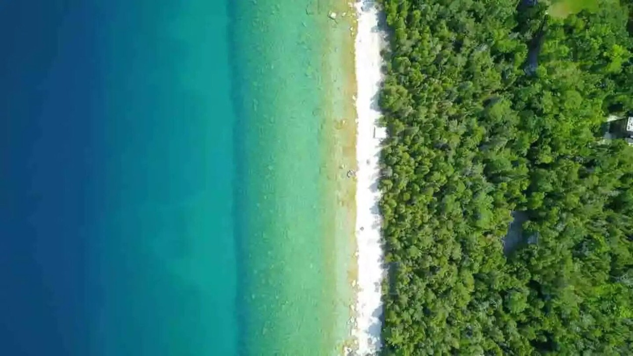 Photo of Others in Northern Bruce Peninsula