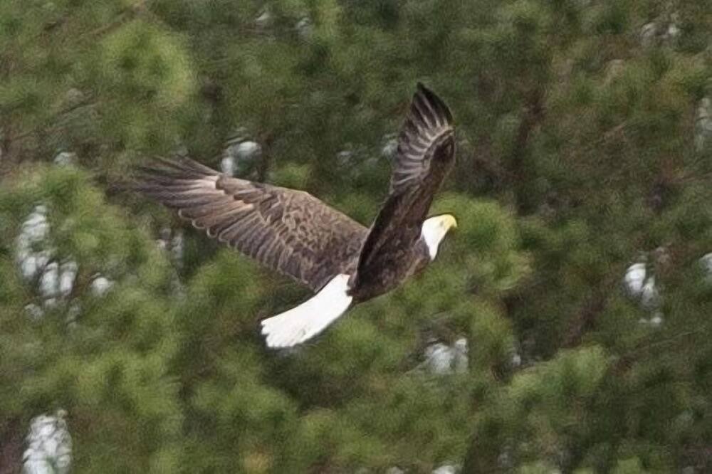 Photo of Others in Long Branch