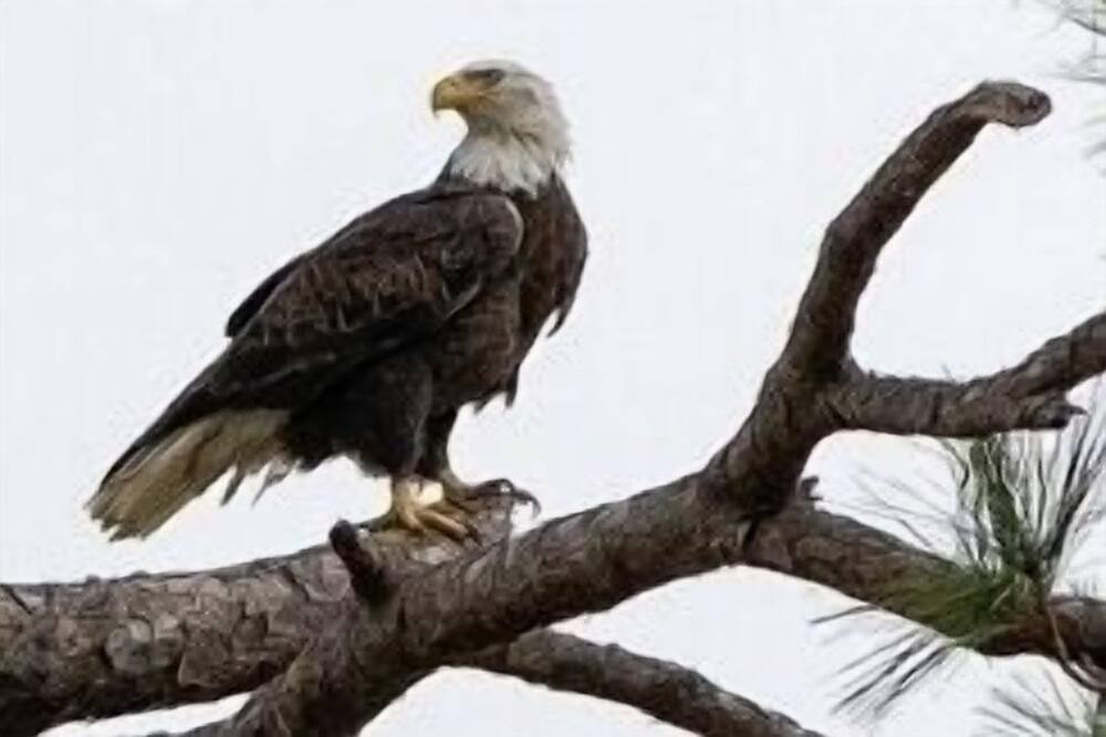 Photo of Others in Long Branch