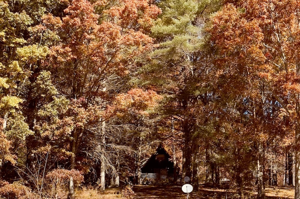 Photo of Outdoor in Hillsville