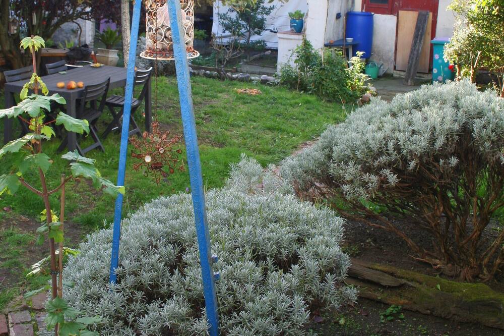 Photo of Outdoor in Saint-Martin-du-Littoral