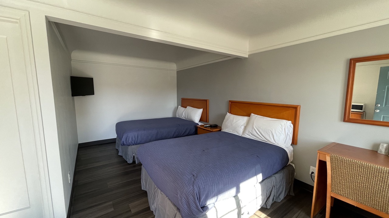 Photo of Others in Sunderland