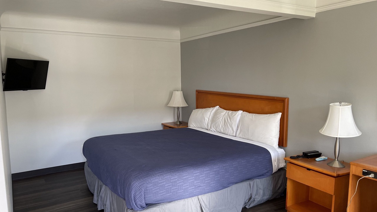 Photo of Others in Sunderland