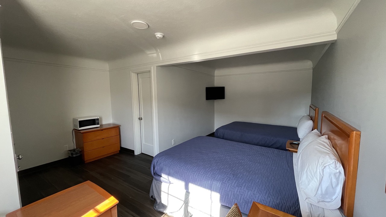 Photo of Others in Sunderland