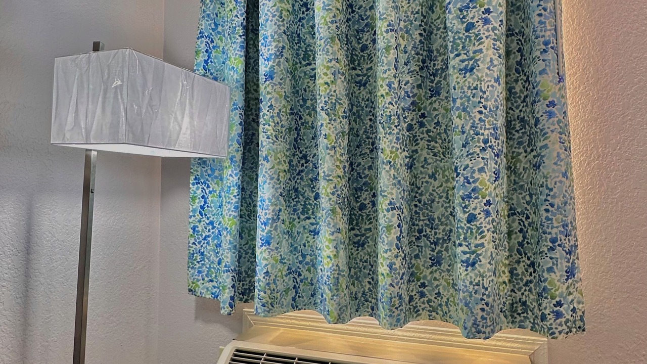 Photo of Others in Sylvester