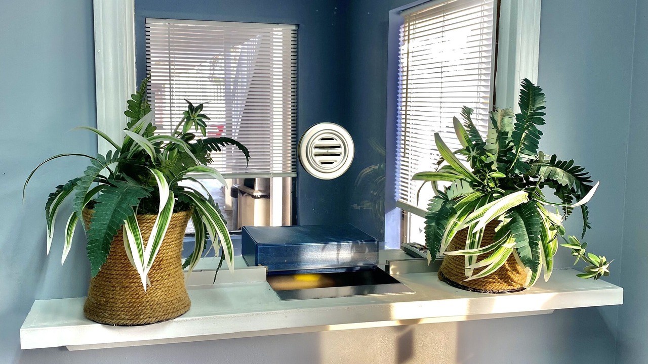 Photo of Others in Sylvester