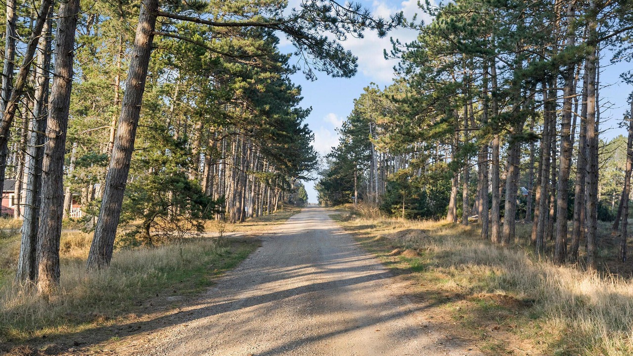 Photo of Outdoor in Sjllands Odde