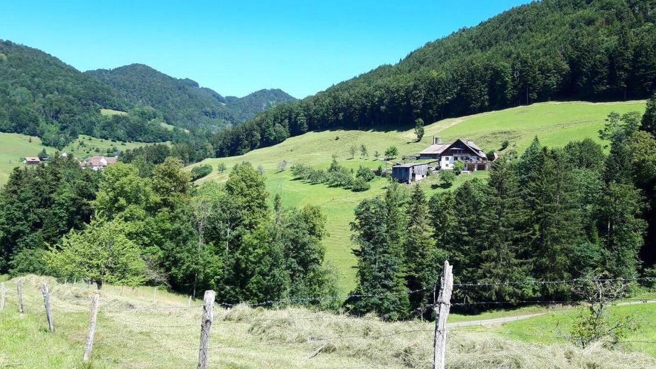 Photo of Outdoor in Beinwil