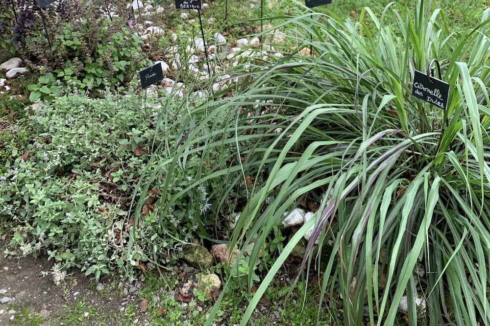 Photo of Outdoor in Orbigny