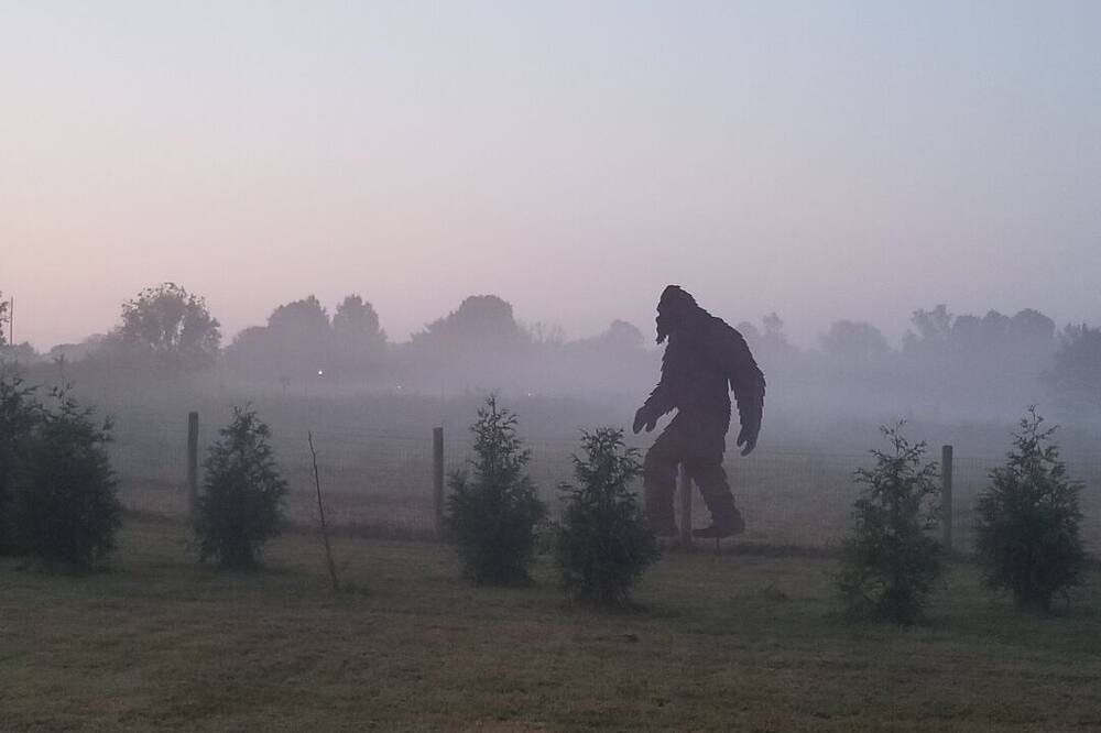 Photo of Outdoor in Hazel Green
