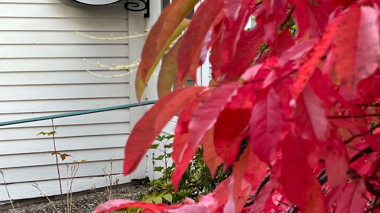 Photo of Outdoor in Strafford