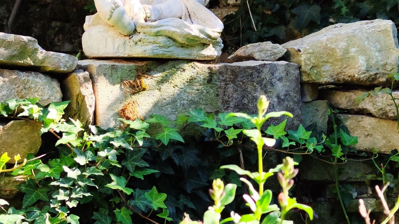 Photo of Outdoor in Mirepoix