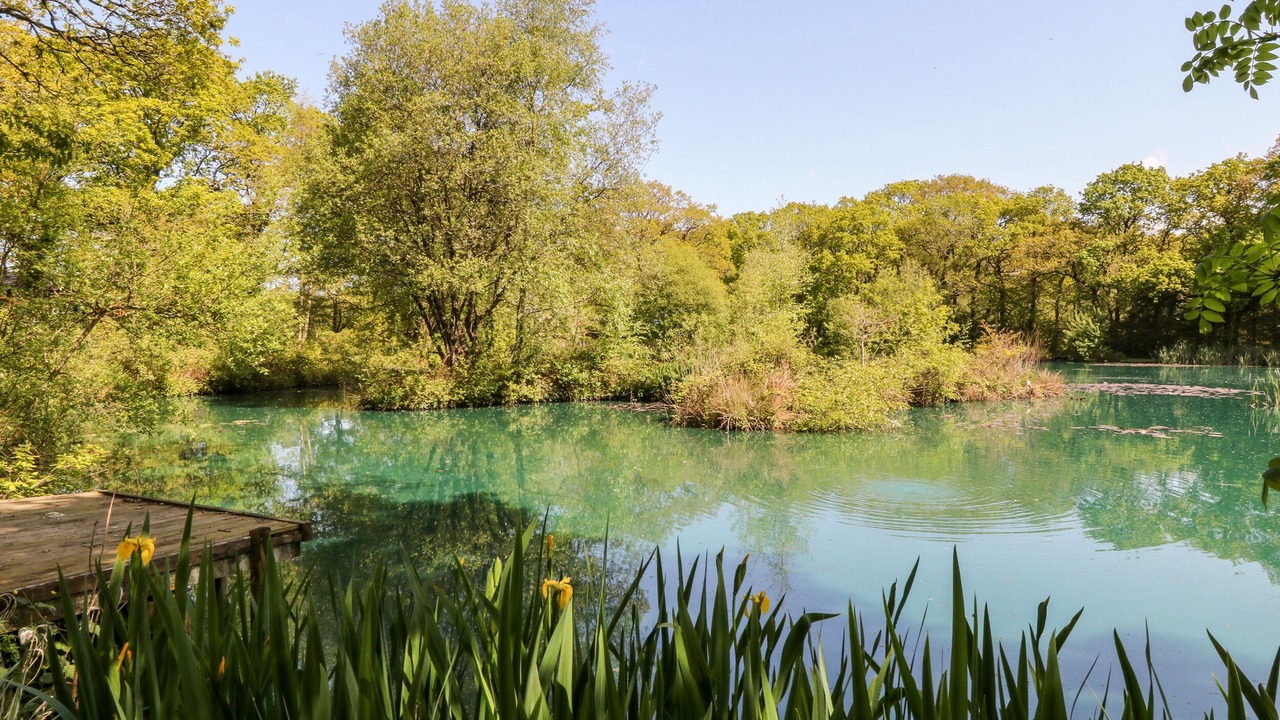 Photo of Others in Black Torrington