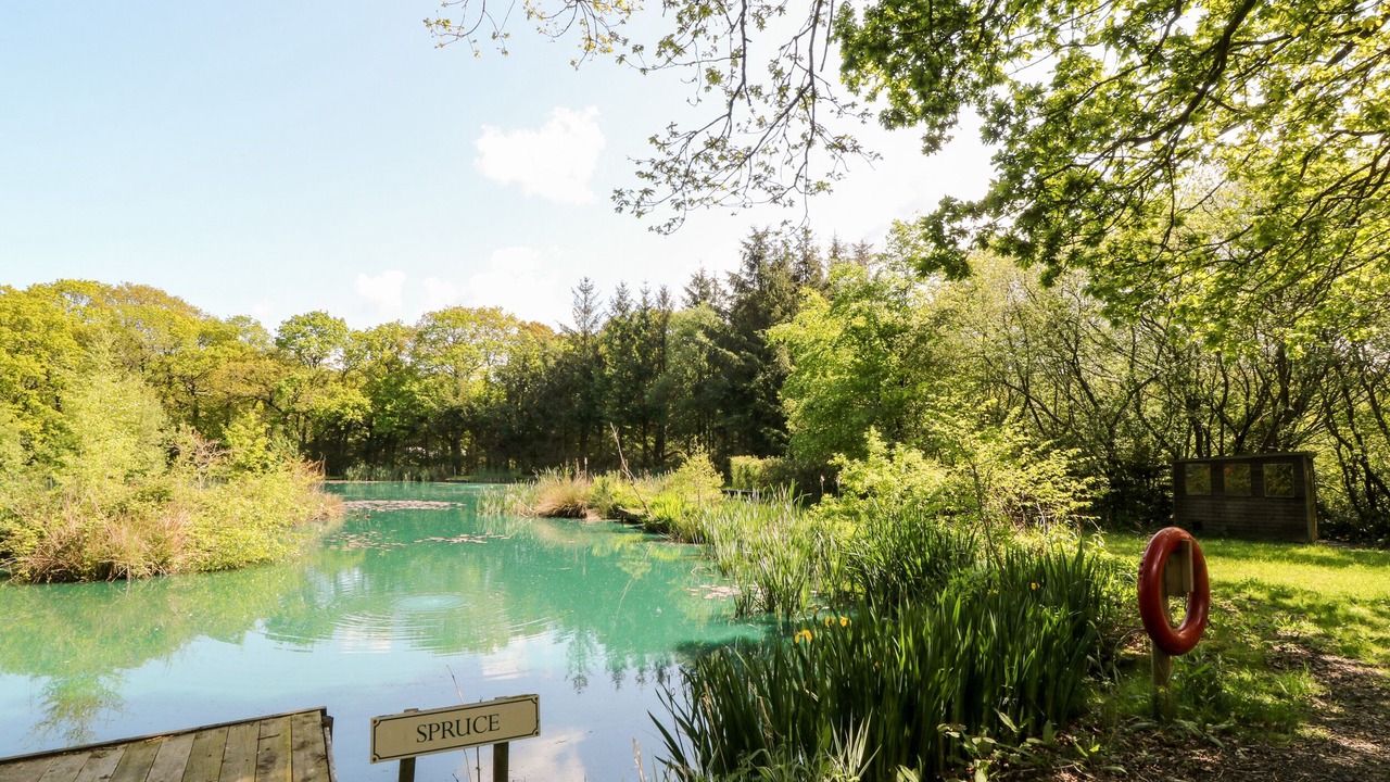 Photo of Others in Black Torrington