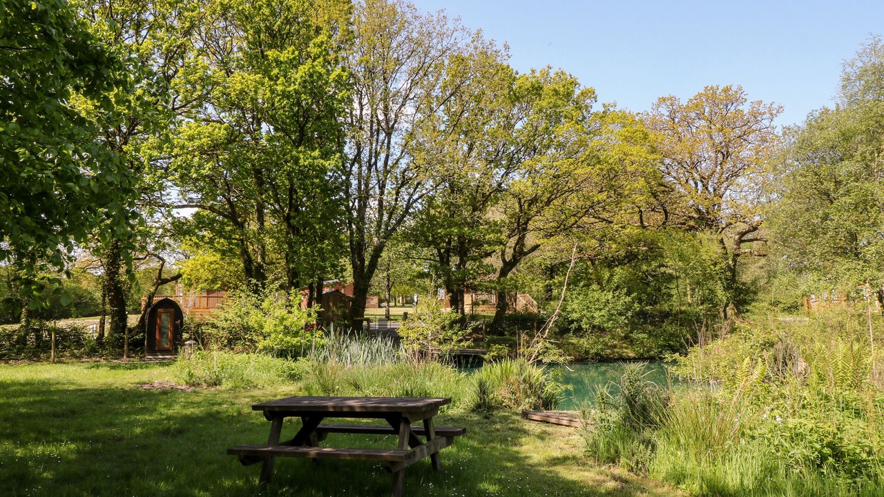 Photo of Others in Black Torrington