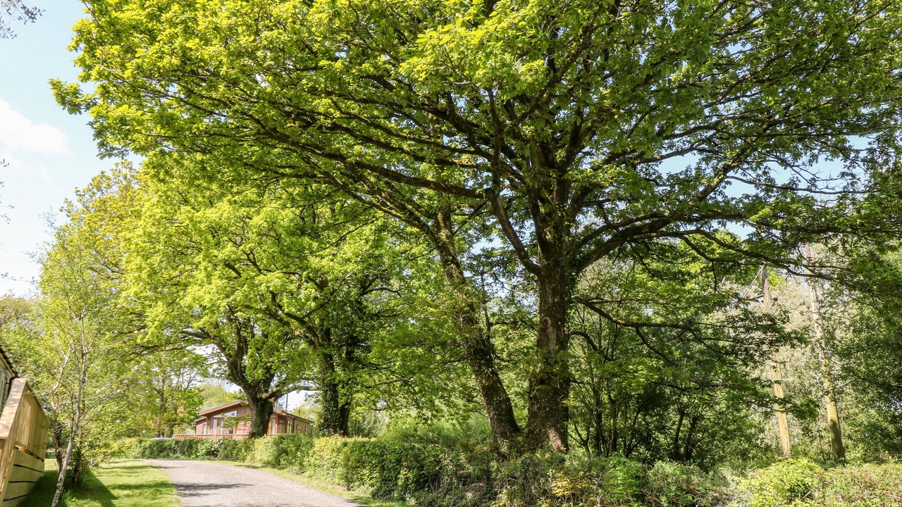 Photo of Others in Black Torrington