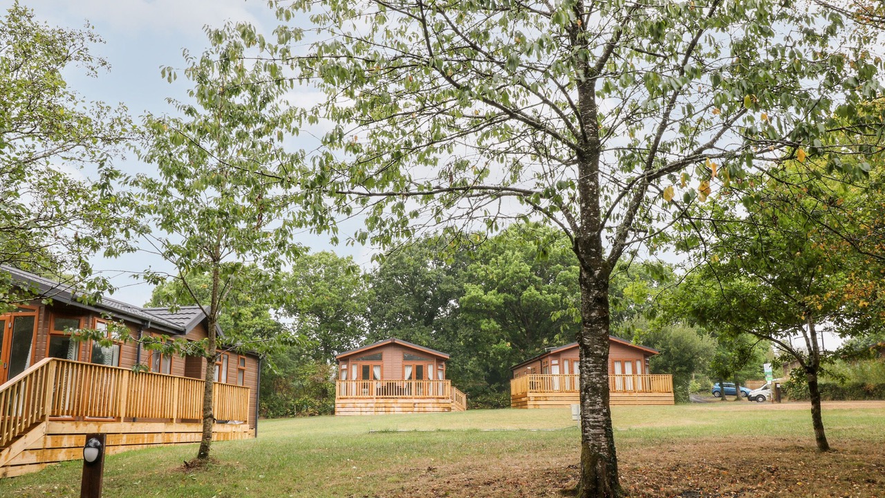 Photo of Others in Black Torrington