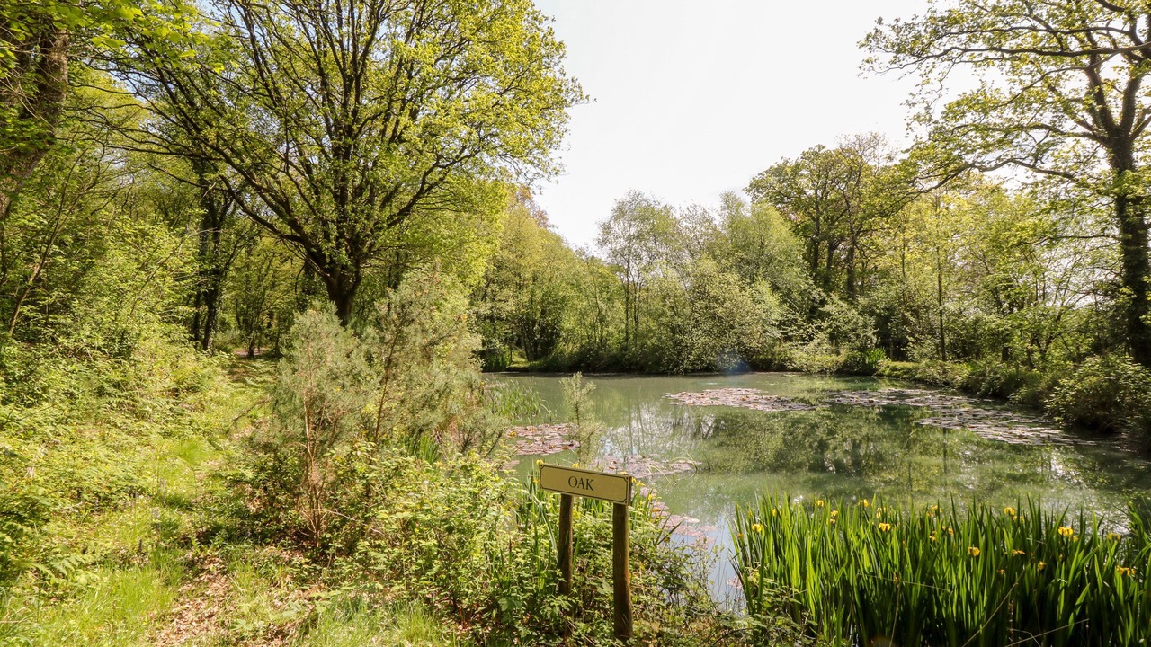 Photo of Others in Black Torrington