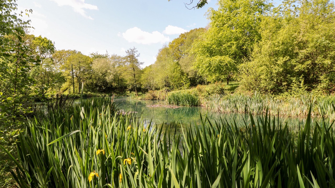 Photo of Others in Black Torrington