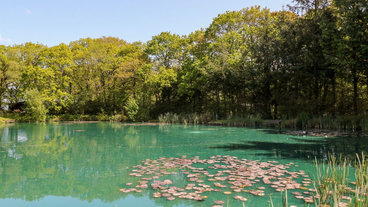 Photo of Others in Black Torrington