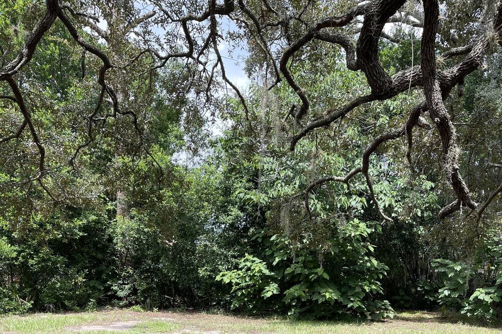 Photo of Outdoor in Spring Hill